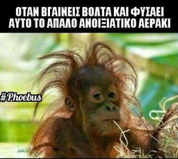 ΠΑΝΑΓΙΩΤΗΣ