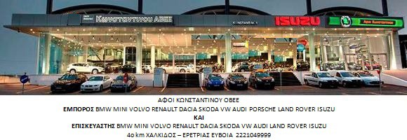 ΤΙΜΟΝΙ RENAULT CLIO 2001-2006-thumb-2