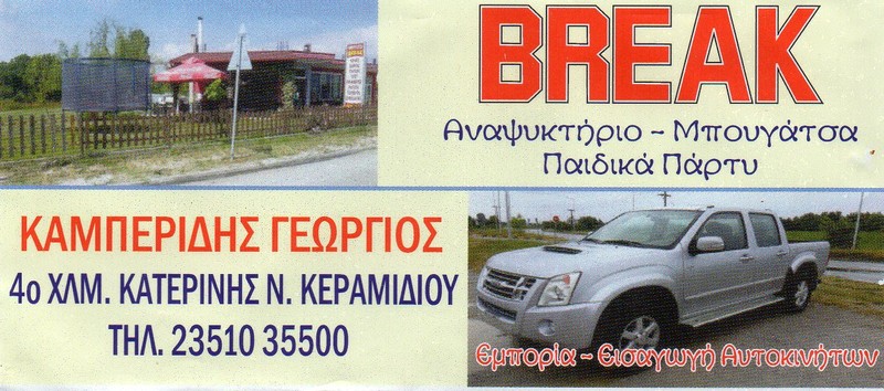 ΕΛΑΣΤΙΚΑ ΧΕΙΜΕΡΙΝΆ 205/55/17 -thumb-8