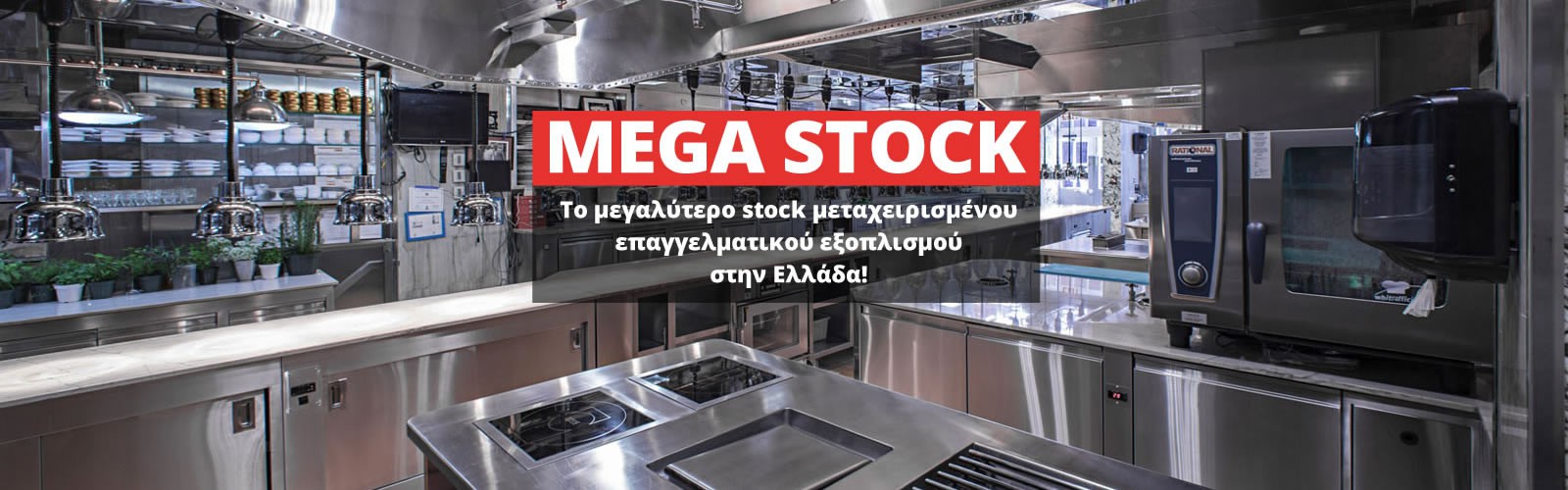 Sous vide επιτραπέζιο BUFFALO FM869-thumb-4